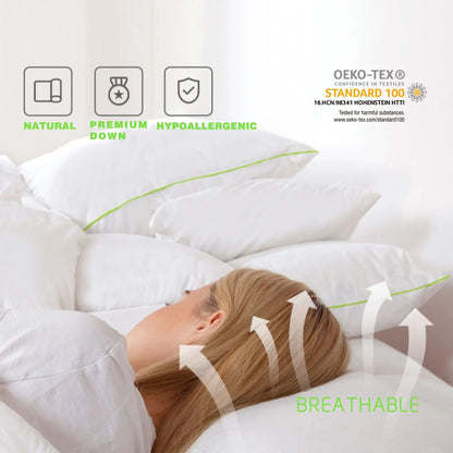Kasentex Silky Green Piped Edge Goose Down Feather Pillow Set, White - Get it from Bo