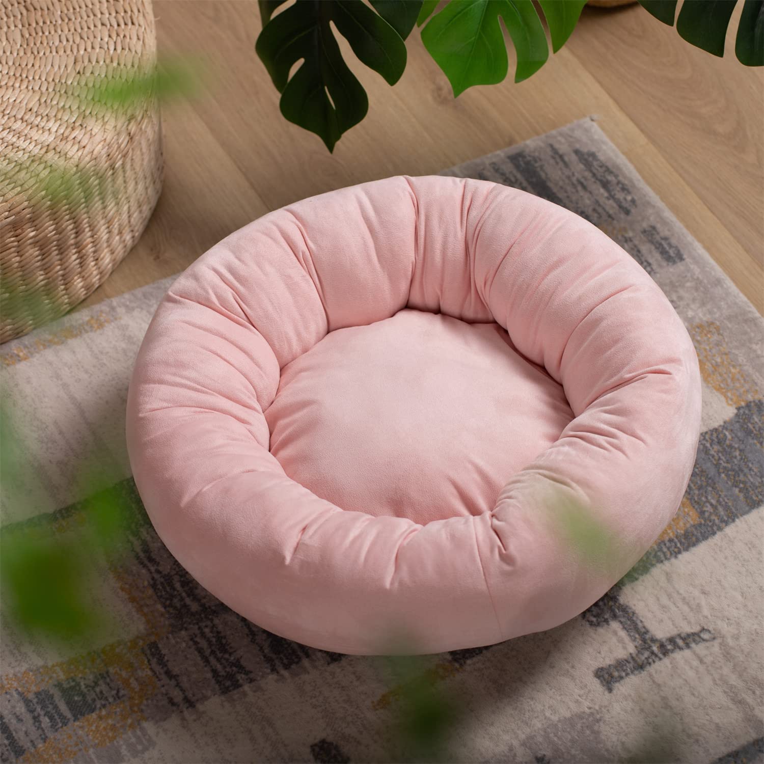 Kasentex Soft Dog Bed - Cozy Pet Bed Cushion - Get it from Bo