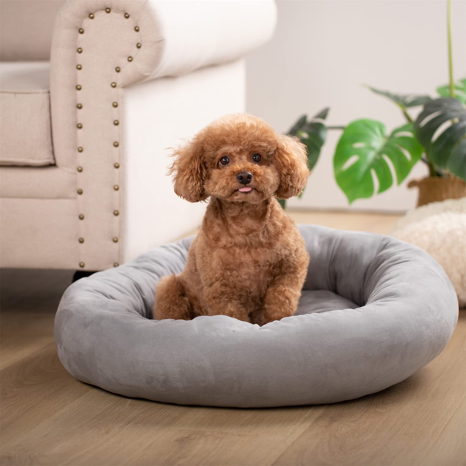 Kasentex Soft Dog Bed - Cozy Pet Bed Cushion - Get it from Bo