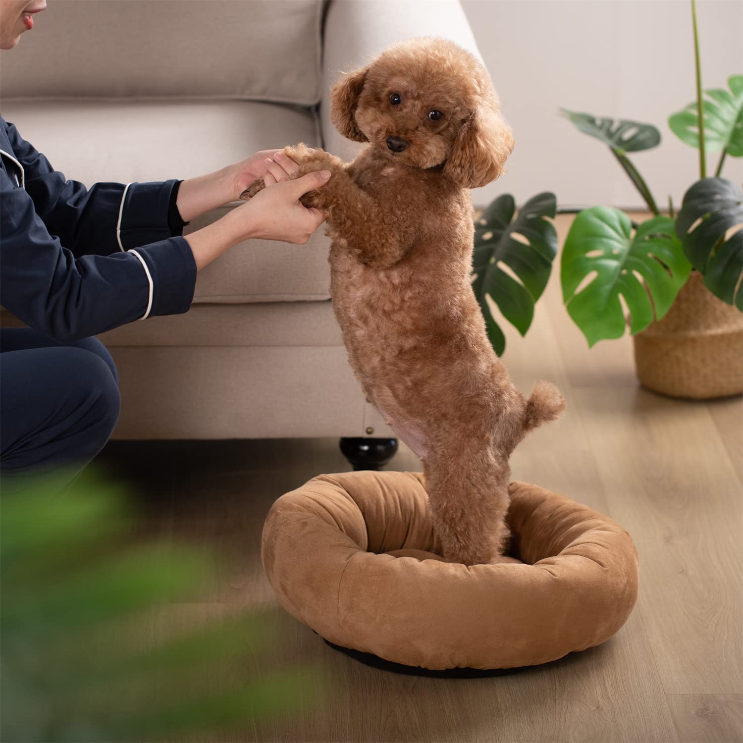 Kasentex Soft Dog Bed - Cozy Pet Bed Cushion - Get it from Bo