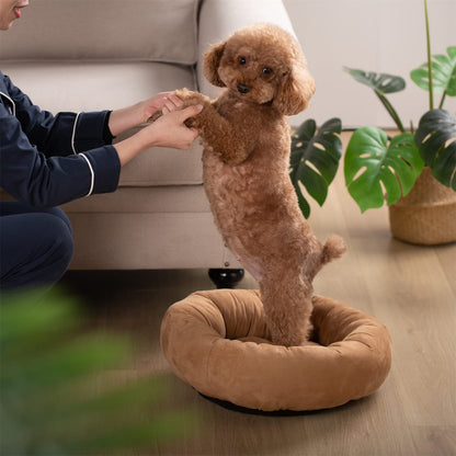 Kasentex Soft Dog Bed - Cozy Pet Bed Cushion - Get it from Bo