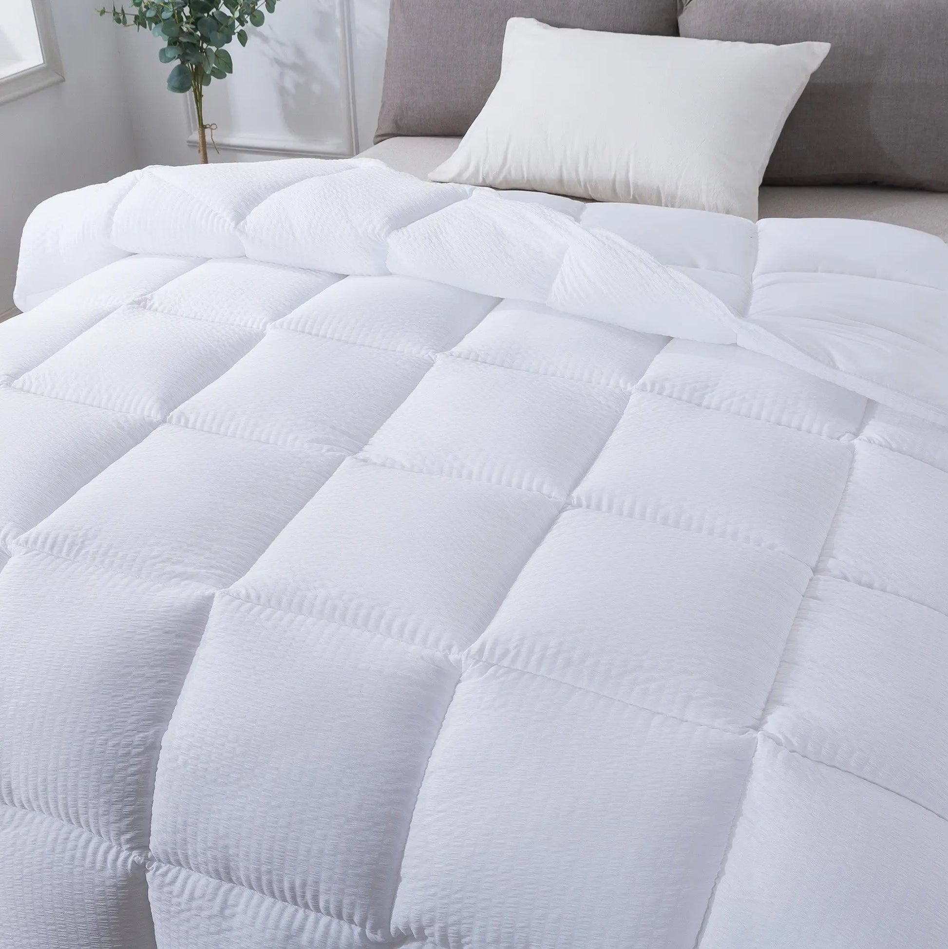 Kasentex Ultra Soft All Season Down Alternative Reversible Comforter, Twin, Queen, King, Room Decor, Graduation Gifts - Get it from Bo