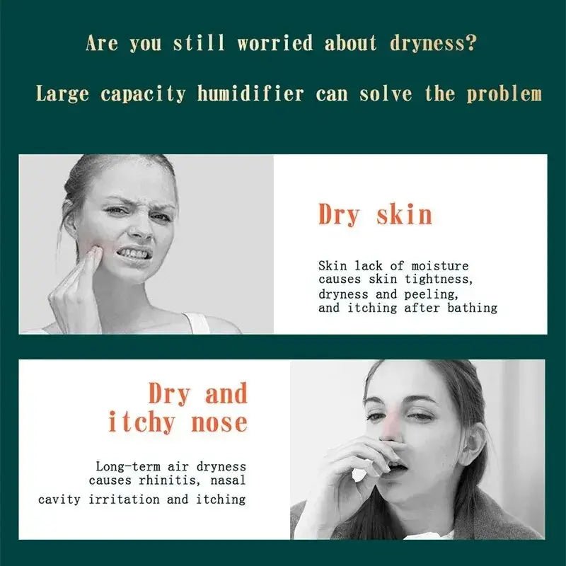 Large Capacity Dual Spray Humidifier Purifier - Get it from Bo
