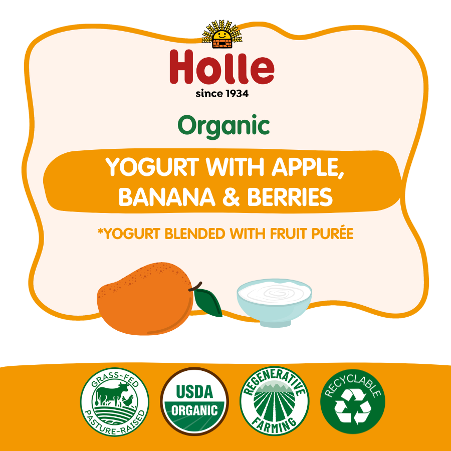 Holle Organic Yogurt Pouches - Mango Holle USA