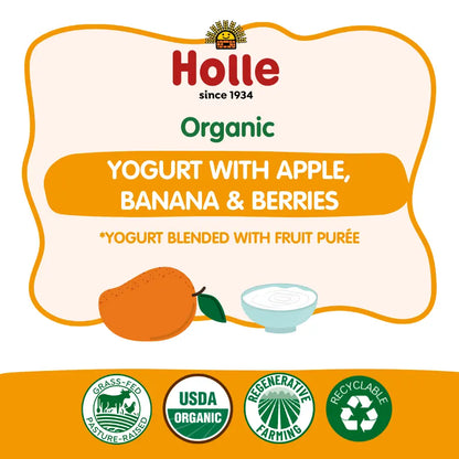 Holle Organic Yogurt Pouches - Mango Holle USA