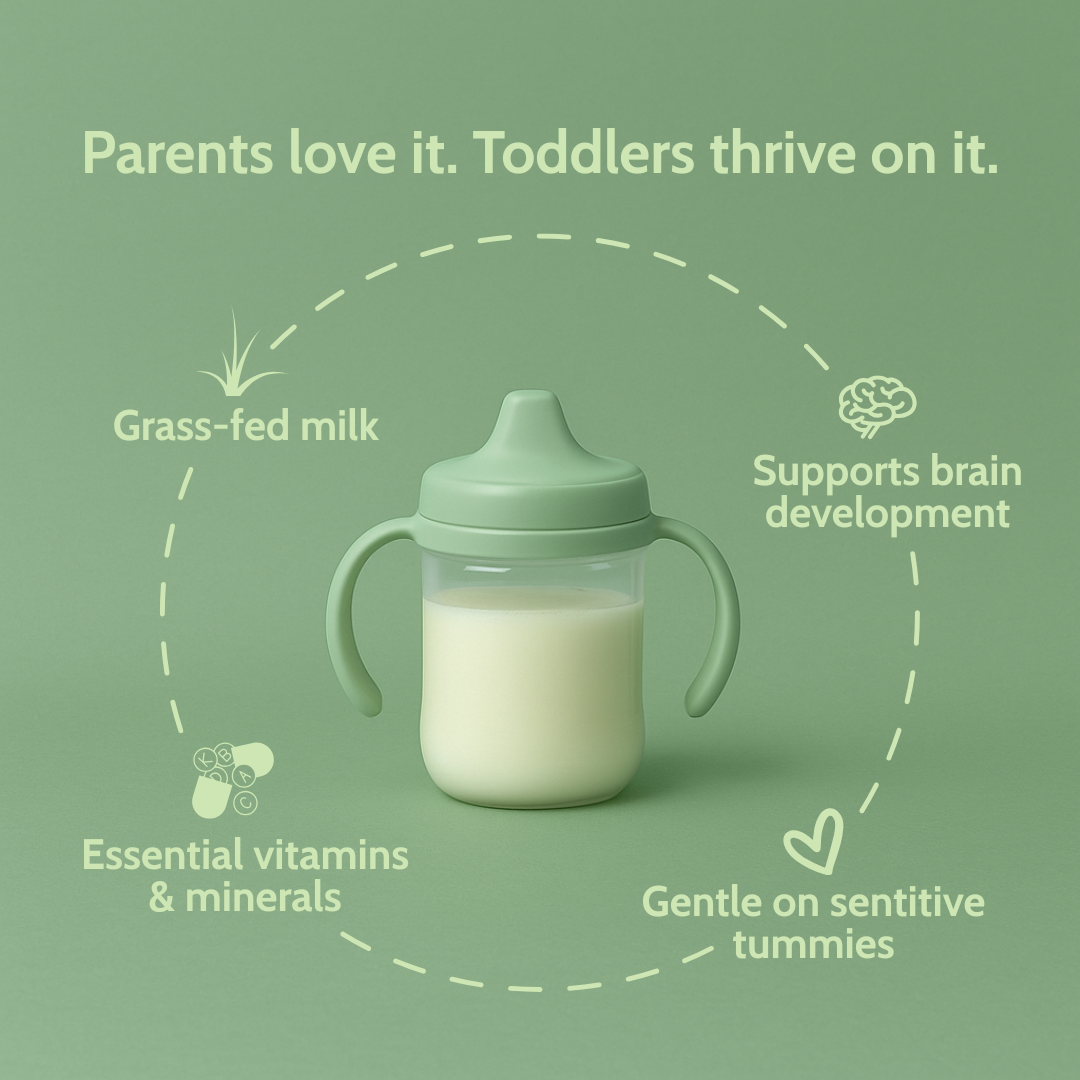Holle Goat Milk Toddler Drink - Stage 3 | Non GMO (14 oz) Holle USA