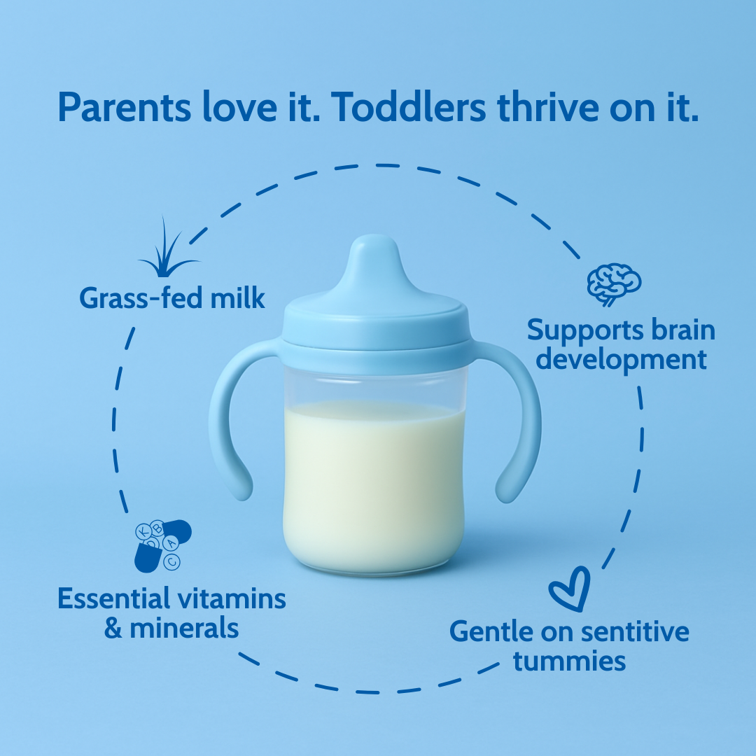 Holle Cow Milk Toddler Drink - Stage 3 | Non GMO (14 oz) Holle USA