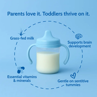 Holle Cow Milk Toddler Drink - Stage 3 | Non GMO (14 oz) Holle USA