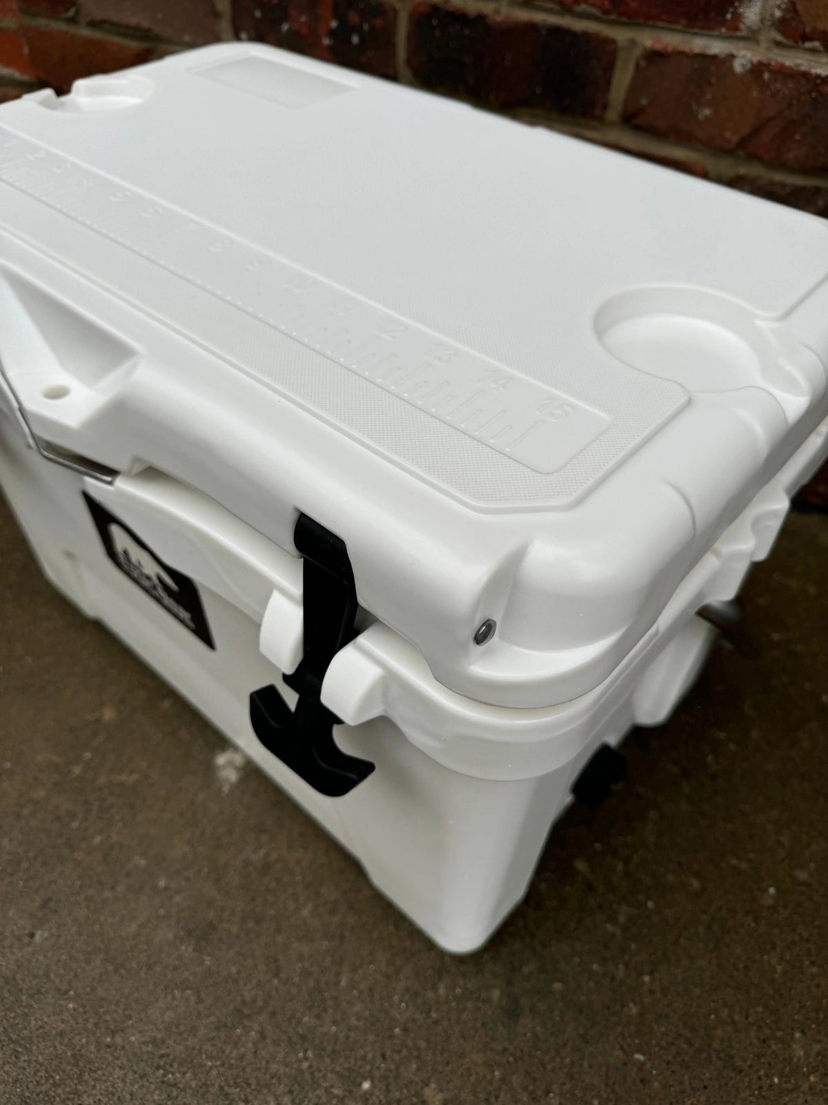 Polar Bear 20 Hard Cooler - Get it from Bo