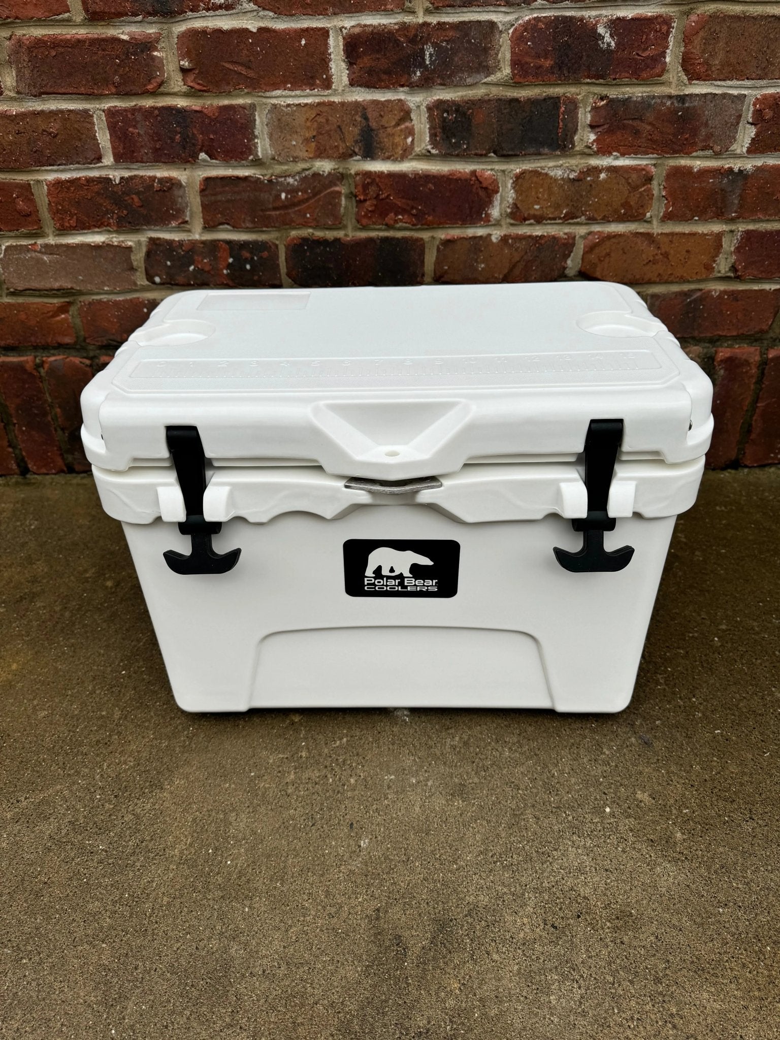 Polar Bear 20 Hard Cooler - Get it from Bo