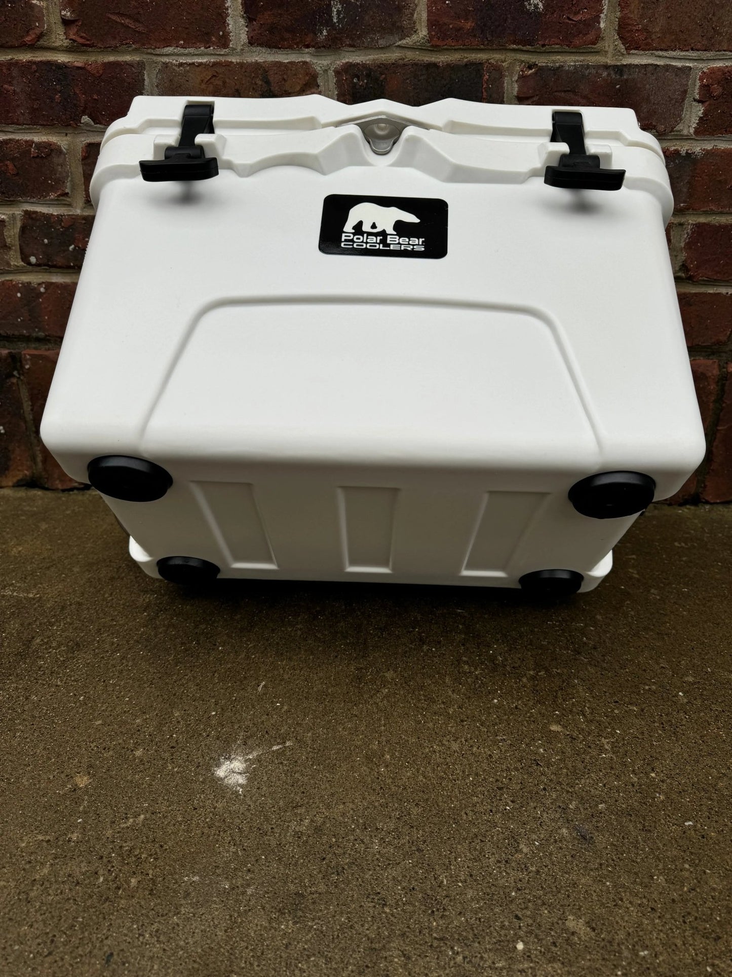 Polar Bear 20 Hard Cooler - Get it from Bo