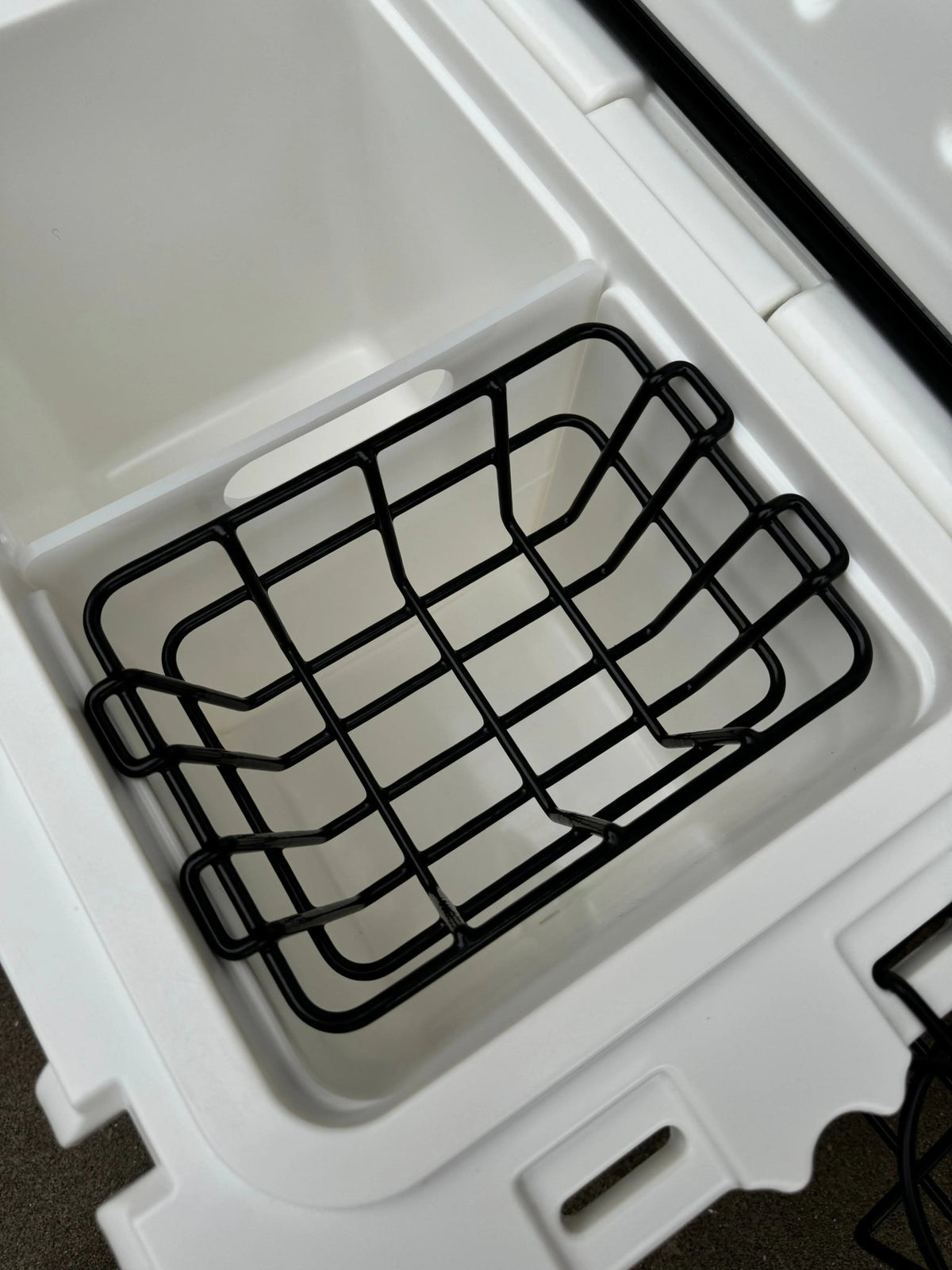 Polar Bear 20 Hard Cooler - Get it from Bo