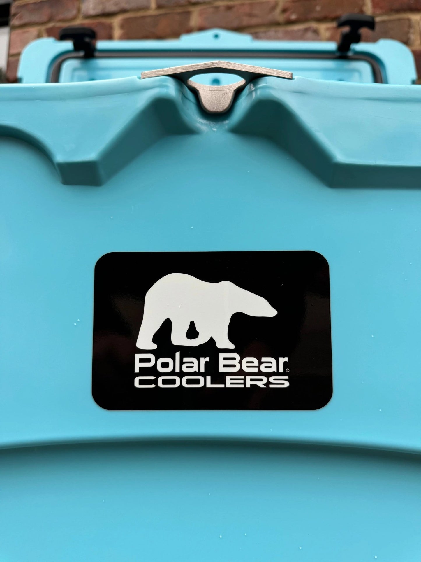 Polar Bear 45 Hard Coolers - Get it from Bo