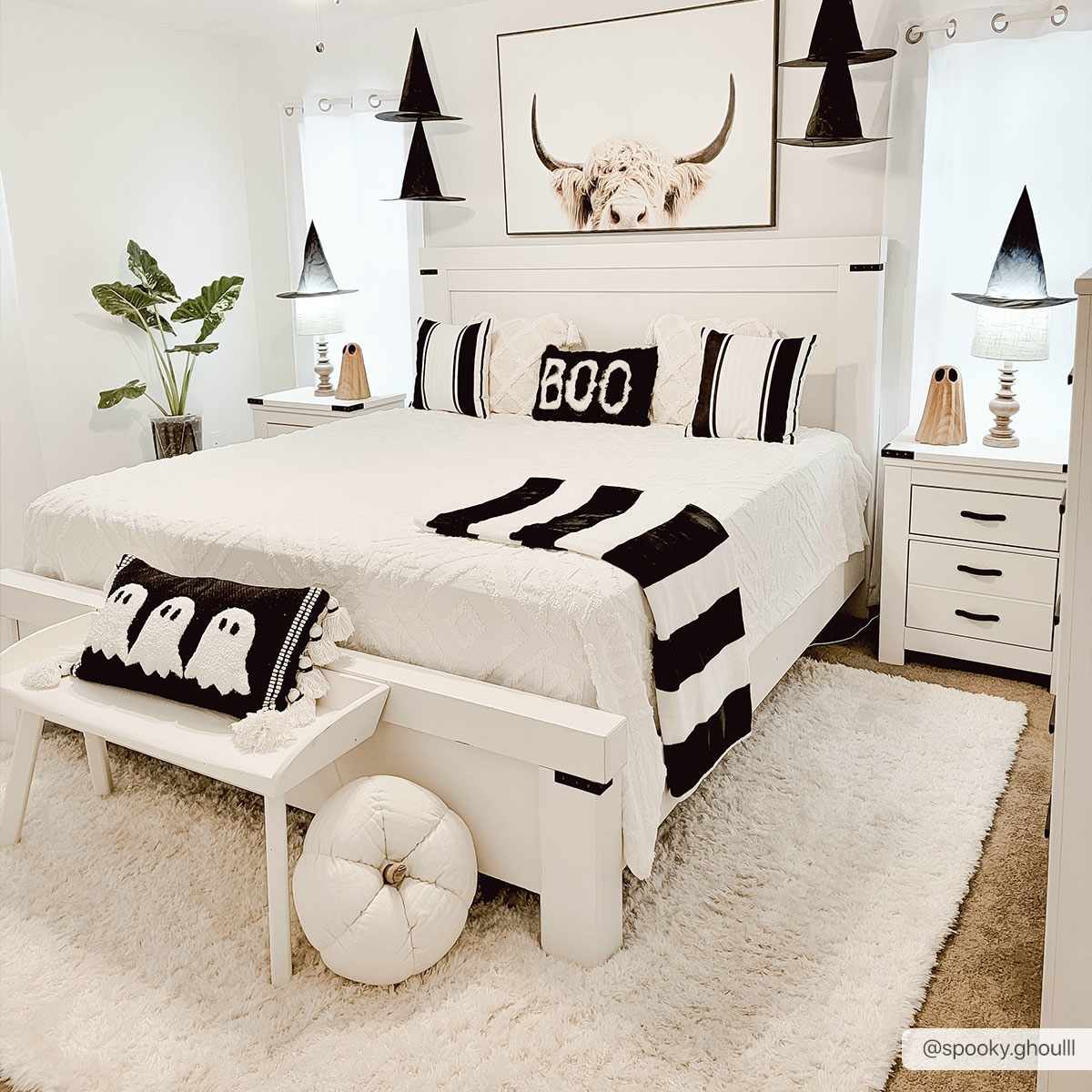 Siari Solid Cream Plush Rug - Get it from Bo