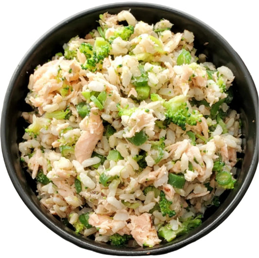 Small Breed - Sensational Salmon, case includes 30, 4oz meals - Get it from Bo