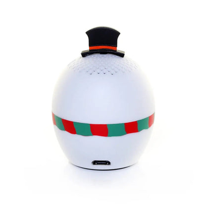 Snowman - Get it from Bo