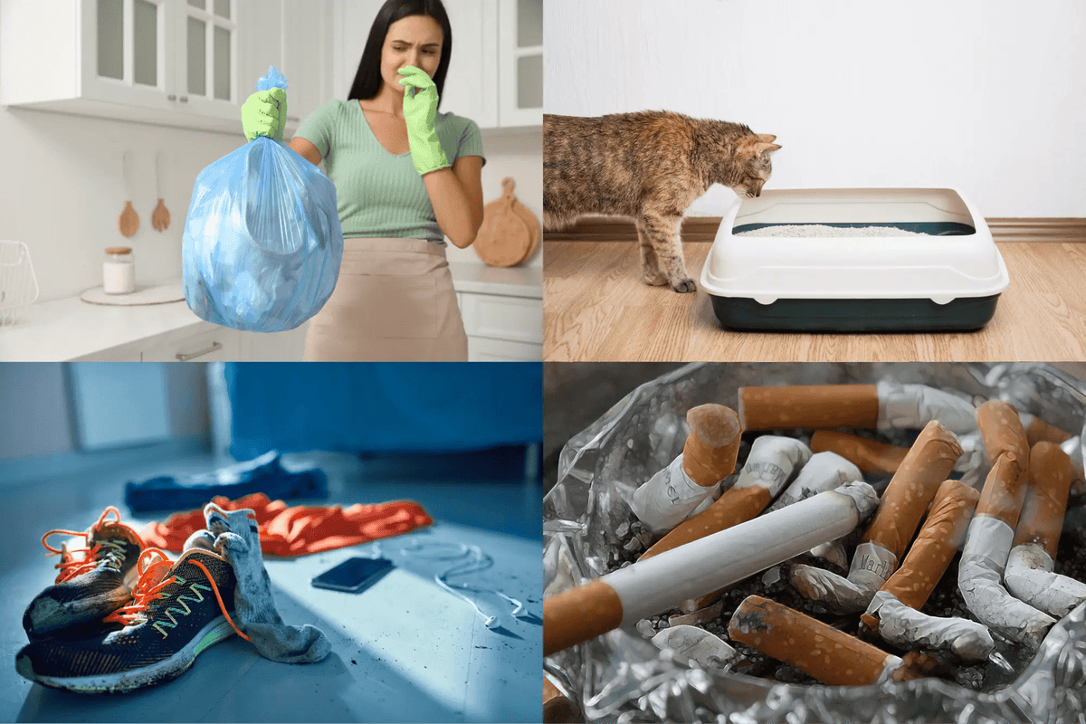 Socar Odor Neutralizer with Bio-Safe Technology - Get it from Bo