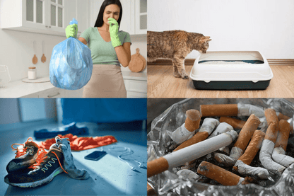 Socar Odor Neutralizer with Bio-Safe Technology - Get it from Bo