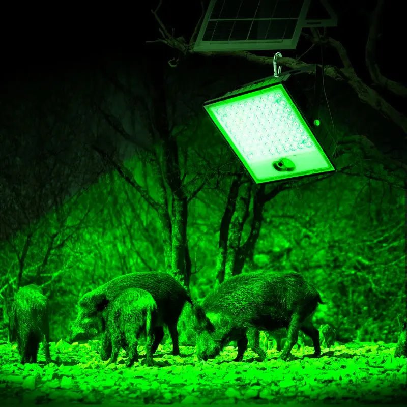 Solar Green Floodlight for Night Hunting - 10,000 Lumens - Get it from Bo