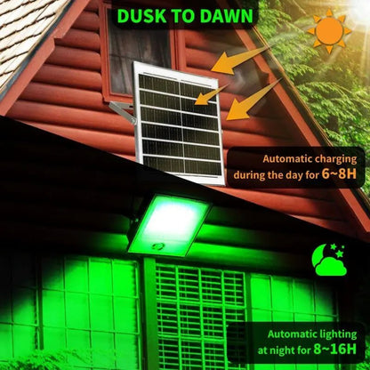 Solar Green Floodlight for Night Hunting - 10,000 Lumens - Get it from Bo