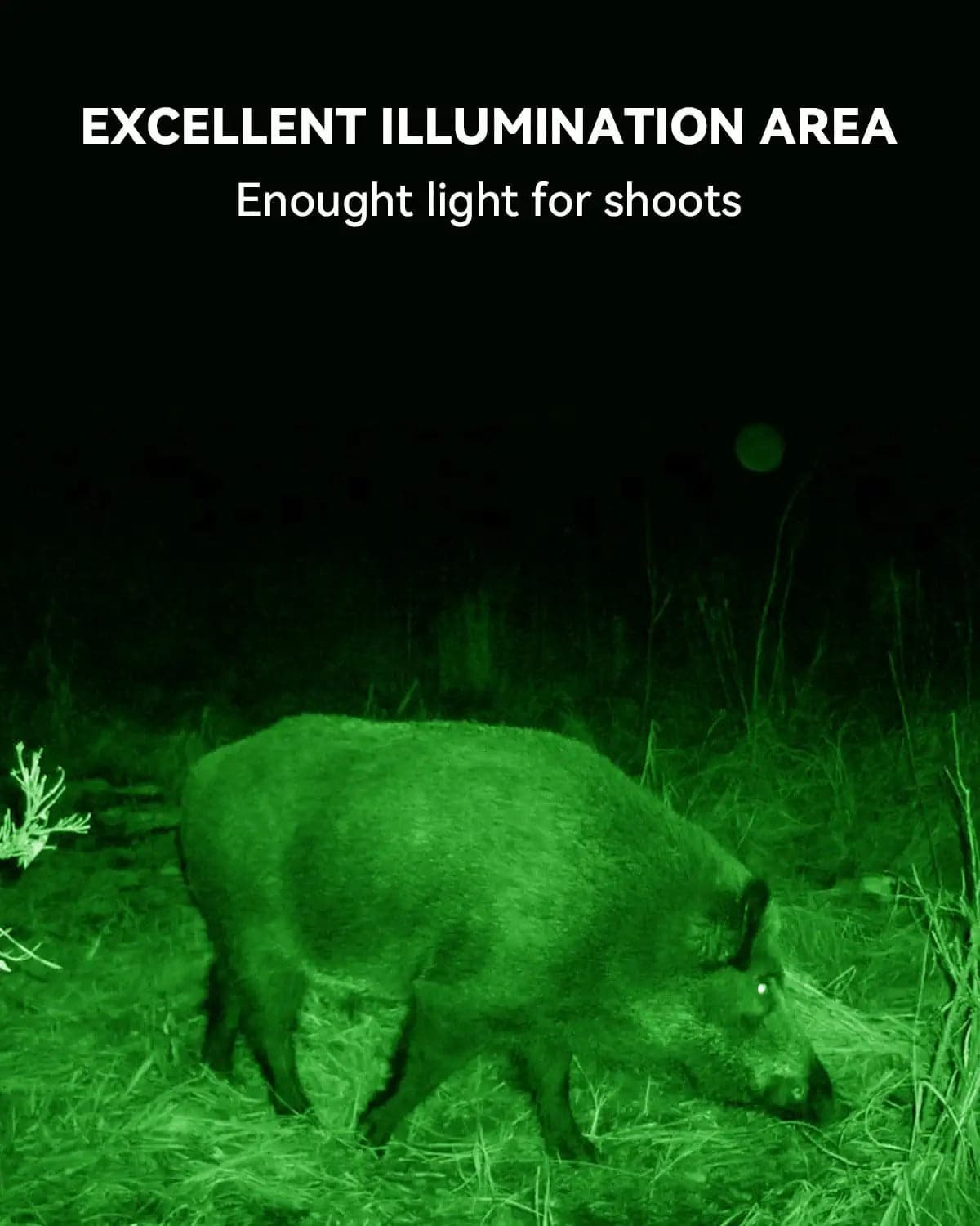 Solar Green Light for Hunting Hogs Deer,Fish light -15,000lumens Langy Solar Lights
