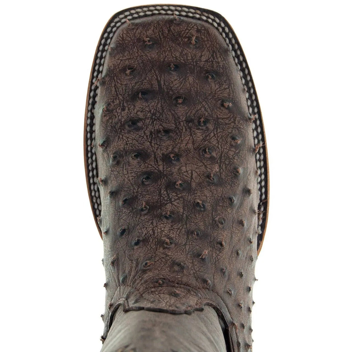 Soto Boots Mens Out of the Wild Brown Ostrich Print Boots H50031 - Get it from Bo