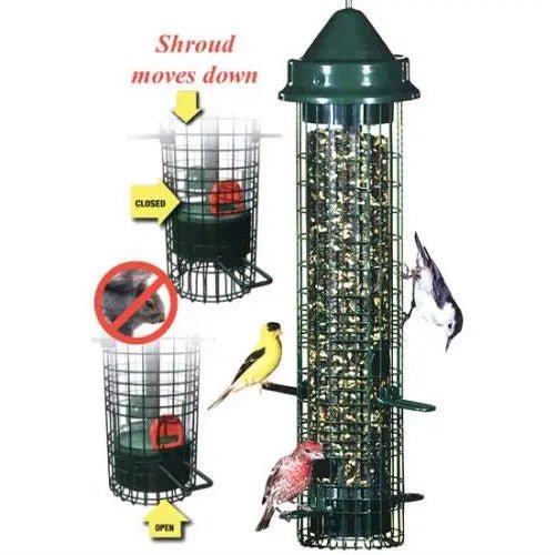 Squirrel-proof Bid Feeder - Hold 1.4 Quarts of Bird Seed - Get it from Bo