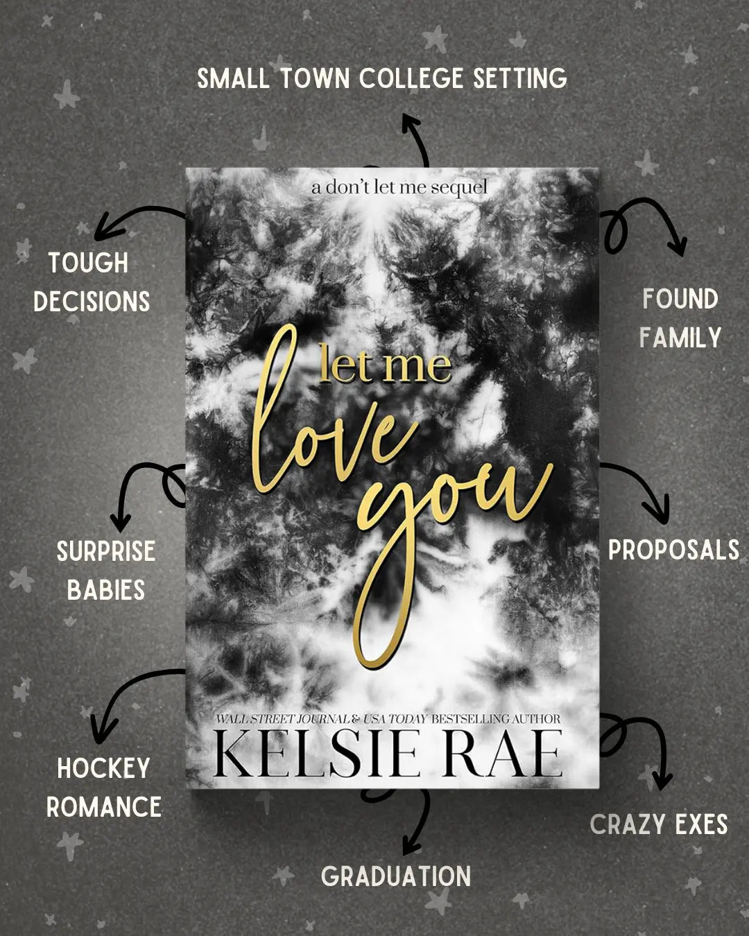 Steamy Hockey Book Bundle: Don't Let Me Series - Get it from Bo