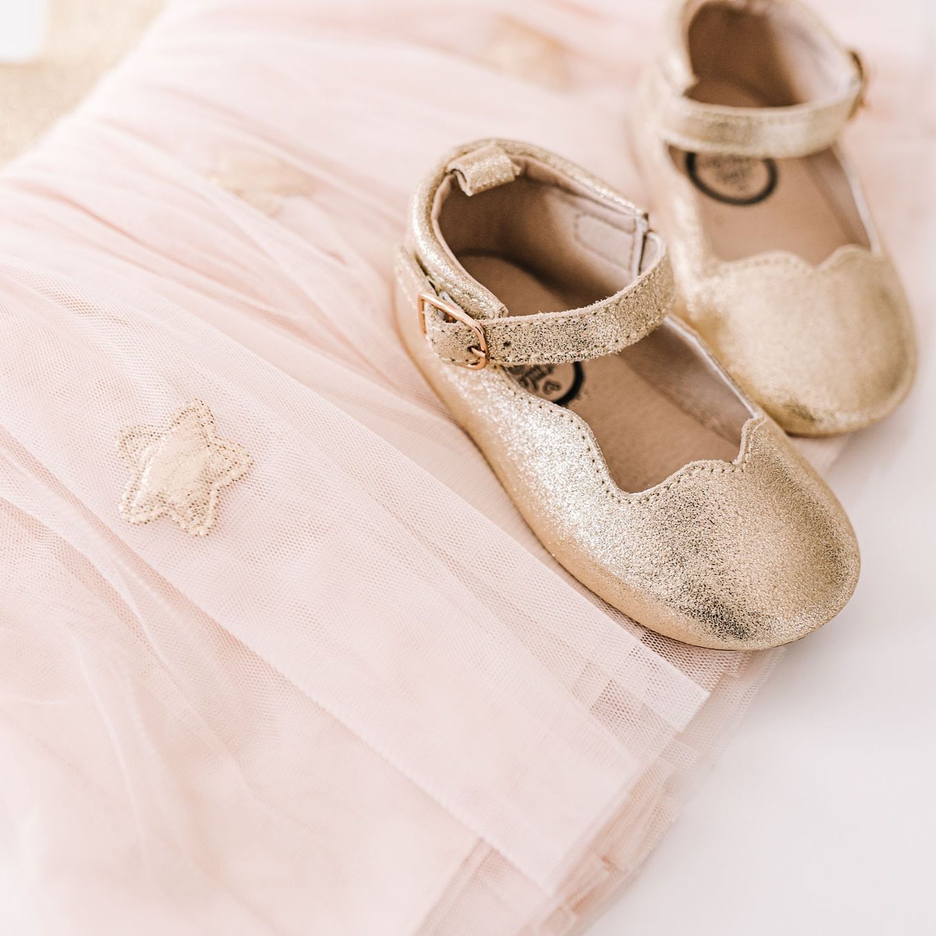 The Olivia Little Love Bug Co.