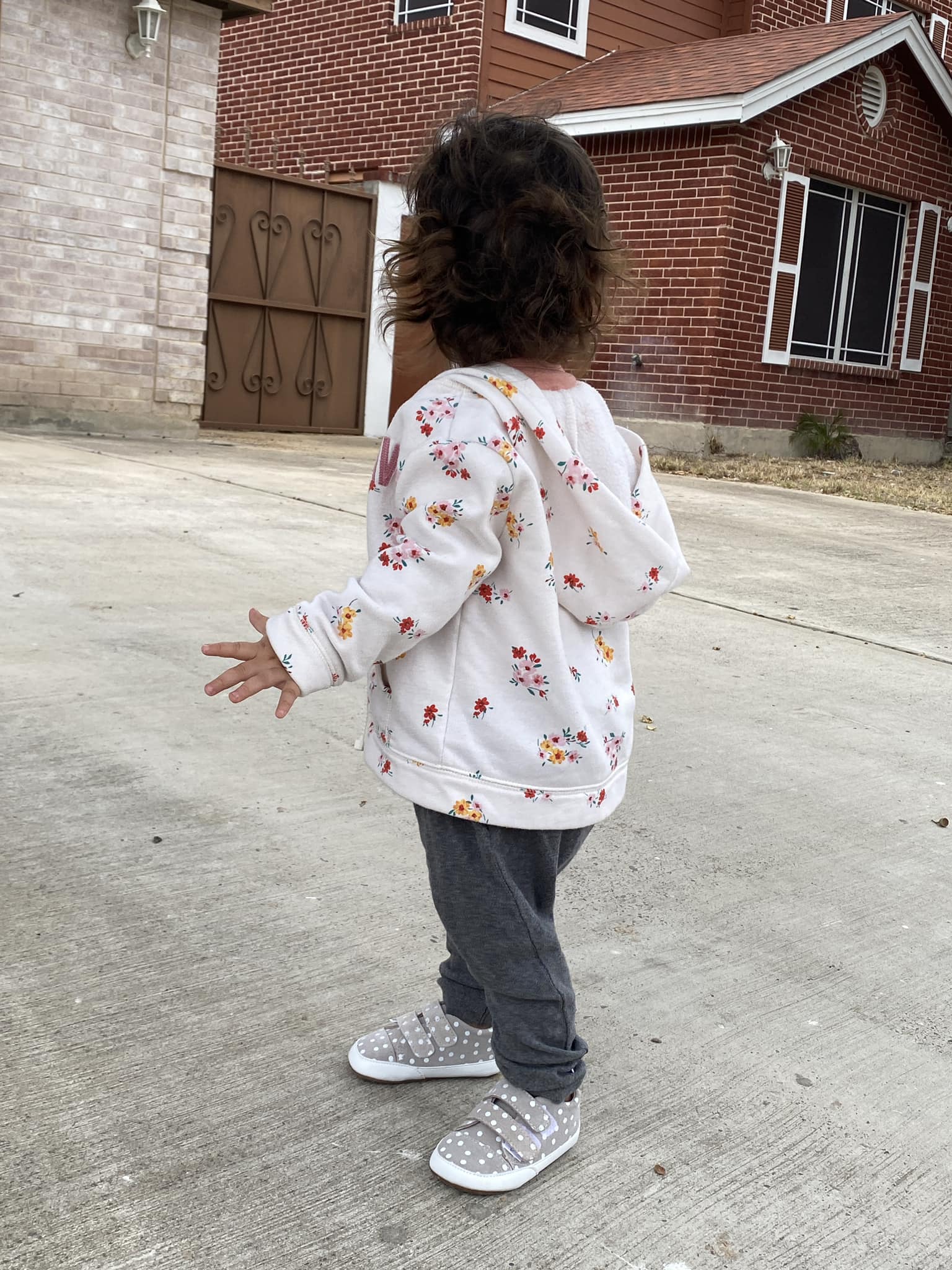 The Patterned Low Tops Little Love Bug Co.